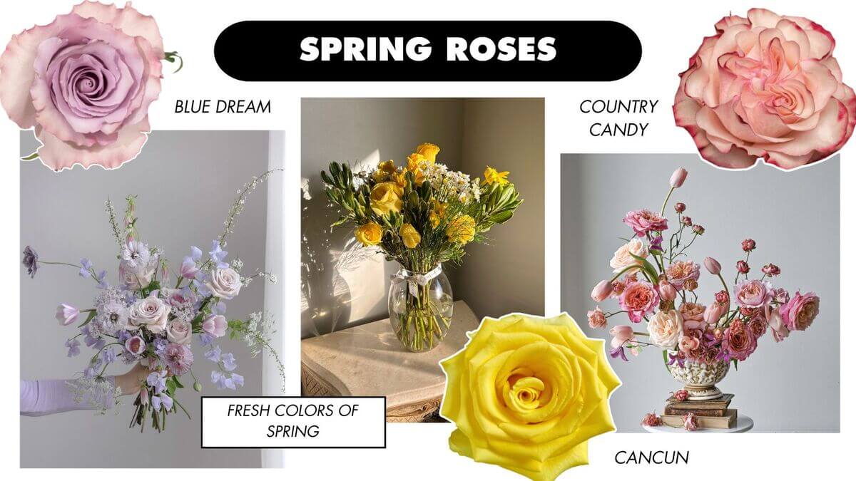 Collage of rose varieties and inspiration for spring flowers