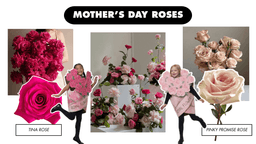 Mother's day roses collage