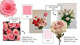 Collage of Pinky Promise and Flirty roses showcasing creative floral design through vibrant pink hues and modern composition.