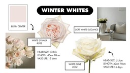 A collage of winter roses in soft white and cream shades, showcasing crisp, snowy tones and refined seasonal beauty.