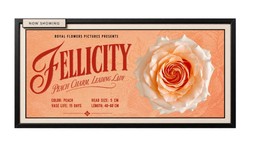Felicity peach rose featured as the leading lady of The Peach Rose Edit by Royal Flowers.