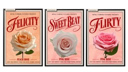 Felicity, Sweet Beat, and Flirty rose varieties by Royal Flowers displayed in vintage floral design posters.