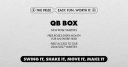 details of the prize