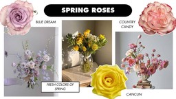 Collage of rose varieties and inspiration for spring flowers