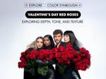 Valentine's Day red roses visual