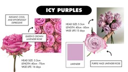 A collage of winter roses in icy purple hues, highlighting cool lavender tones and frosted, ethereal color variations.