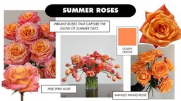 Collage featuring bright summer roses